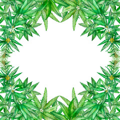 Watercolor hand painted nature squared rhomb border frame with green hemp leaves and branches on the white background, cannabis weed plants for invite and greeting cards with the space for text