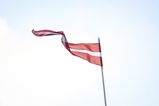 Latvia flag waving in strong wind.