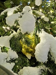 christmas decoration on tree