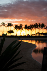 Fototapeta na wymiar Waikiki Sunset 