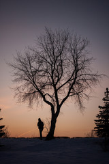 man walking under a lonely tree on a sunset background