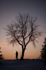 man walking under a lonely tree on a sunset background