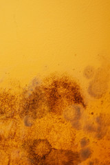 Close up black mold on the wall at home. Removing mold. Wall damage 