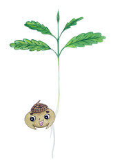 Isolated watercolor acorn sprout with leaves and cartoon face.