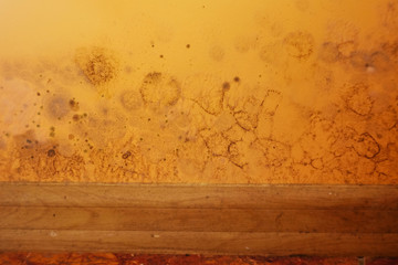 Close up black mold on the wall at home. Removing mold. Wall damage 