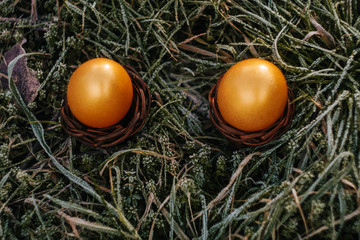 Top view Golden eggs on spring grass at sunny day. Easter wallpaper copy space. Sun rays fall on meadow. Celebrating spring holidays. Nature holiday background. frozen grass.