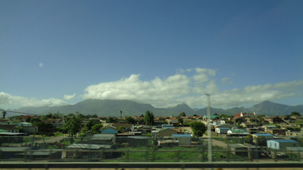 view to the grassland at summer