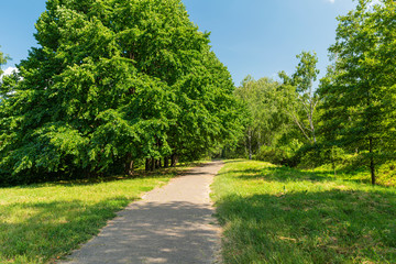Fototapeta na wymiar Road through the park or forest