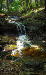 Fototapeta premium Mountain stream