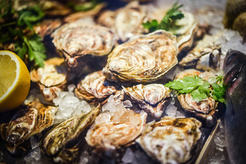 fresh oysters close up view