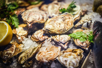 fresh oysters close up view