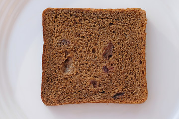 Slice of brown bread with raisins on a white plate top view. A square slice of rye bread on a plate.