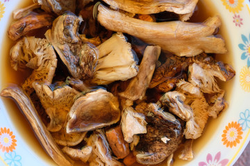 Dried mushrooms in water top view. Soak forest mushrooms before cooking.