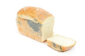  moldy white square bread on a white background