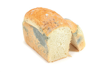  moldy white square bread on a white background