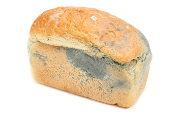  moldy white square bread on a white background