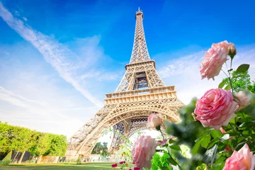 Foto auf Acrylglas eiffel tour and Paris cityscape © neirfy