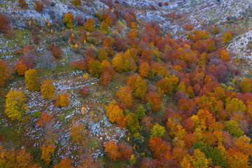 Aerial view, Landscape in autumn, Beech forest, Ramales de la Victoria, Alto Ason, Cantabria, Spain, Europe