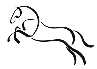 Elementary linear image of a horse