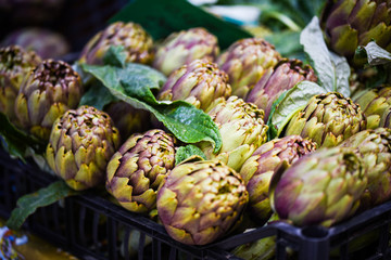 Fototapeta premium fresh artichoke close up view