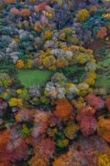 Aerial view, Landscape in autumn, Beech forest, Ramales de la Victoria, Alto Ason, Cantabria, Spain, Europe