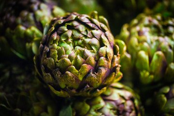 fresh artichoke close up view