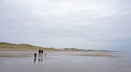 Fototapeta na wymiar A couple and two dogs walking on the beach, seen from behind, Camber Sands, UK