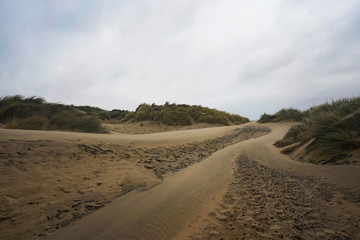 Fototapeta na wymiar Sand dunes by the sea on a cloudy windy day, Camber Sands, UK 