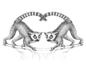 lemur pattern with tropical leaves