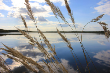 Fototapeta premium Flowers grass, landscape scene of sunrise sunset over a farm field after harvest. A photograph of the sun breaks through the clouds, creating a reflection in the water standing in the field.