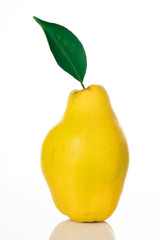 yellow ripe quince on white background
