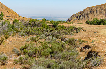 Fototapeta premium scrub desert vista with layers of ecosystems with canyon