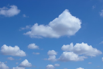 ふんわり浮んだ白い雲