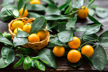 Citrus calamondine with leaves in basket on wooden board.