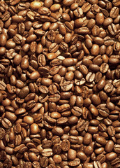Brown coffee beans framed filled image