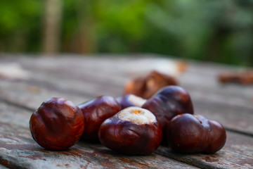 Fresh chestnuts and dry leaves on the wooden table