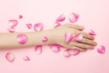Fototapeta na wymiar The woman hands hold rose flowers on a pink background. A thin wrist and natural manicure. Cosmetics for a sensitive skin care. Natural petal cosmetics, anti-wrinkle hand care.