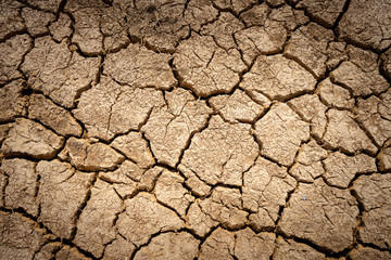 Crack soil warming drought from natural disaster