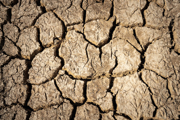Crack soil warming drought from natural disaster