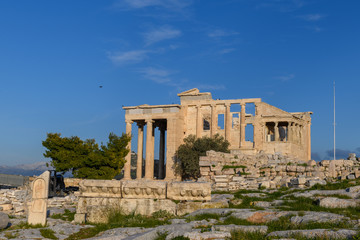 Obraz premium Parthenon Temple in Acropolis of Athens, Greece. Golden hour light.