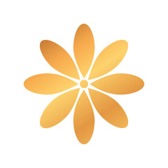 cute golden flower natural isolated icon