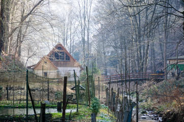 Fototapete bei efototapeten.de bestellen   