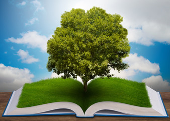 Open book in paper recycling concept - 3d rendering