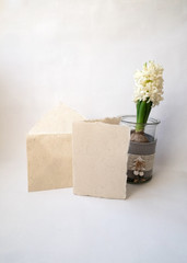composition with a white hyacinth first spring flower, blank card and envelope
