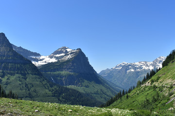 Fototapeta na wymiar Lush Green Valley and Waterfall Surrounded by Snow Dusted Mountains, Going-to-the-Sun Road, Glacier National Park, Montana
