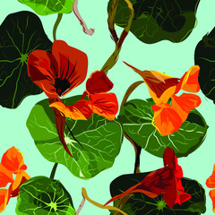 Drawing for wallpaper, fabric, printing on paper. Bright orange nasturtium - garden flowers with green leaves on a blue background. Summer composition - mood and positive. Suitable for interiors.
