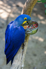 Parc des oiseaux 2/4