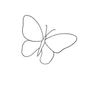 A hand drawn butterfly simple vector outline illustration, contour drawing in doodle style, symbol of summer and nature