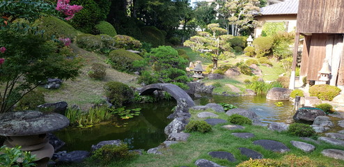 japanese garden with pond and flowers