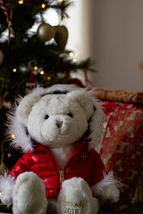 teddy bear with gift